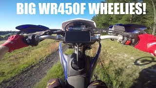 Bringing a Christmas Tree home on a WR450F Wheelies [upl. by Elok]