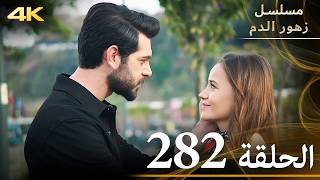 الحلقة 282  مسلسل زهور الدم  مدبلج بالعربية  Kan Çiçekleri  جودة 4K [upl. by Schilit561]