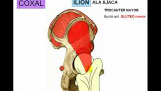 OSTEOLOGIA DE MIEMBRO INFERIOR 1 Diagnostico X [upl. by Cramer]