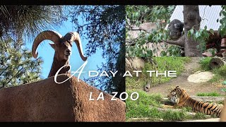 A day at The Los Angeles Zoo [upl. by Gorman]