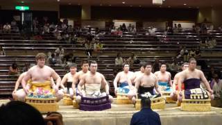 Maezumo introduction  Ichiban shusse  Sumo  Natsubasho 15 [upl. by Ahdar]