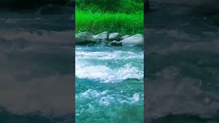 River Meditation ASMR [upl. by Yelrehs]