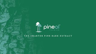 Pineol® Premium  The Smarter Pine Bark Extract for the 21st century [upl. by Joung880]