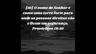 10 O nome do Senhor é como uma torre forte para onde as pessoas direitas vão e ficam em segurança [upl. by Sinnoda543]