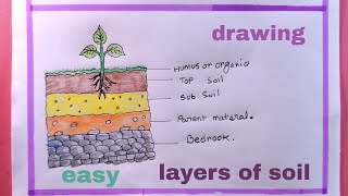 how to draw layers of soil diagramhow to draw soil profilesoil profile drawing [upl. by Proffitt]