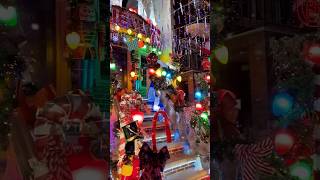 Dyker Heights Christmas Lights Brooklyn NY [upl. by Eveam]