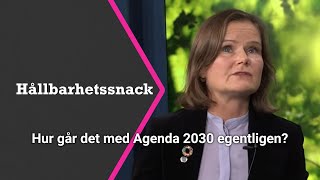 Agenda 2030 och de globala hållbarhetsmålen 🌱 [upl. by Ranson]