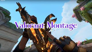 A Valorant Montage [upl. by Ecnerewal]