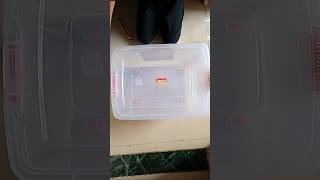 Plastic grocery container Online shopping  Flipkart ytshorts Shorts [upl. by Jeffers331]