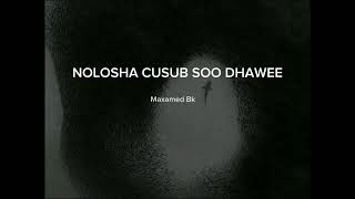 Nolosha cusub soo dhawee  maxamed saciid bk slowed songs [upl. by Adelind]