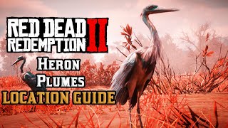 Heron Plumes  Location Guide  Red Dead Redemption 2 [upl. by Sible798]