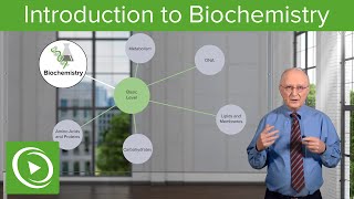 Introduction to Biochemistry – Biochemistry  Lecturio [upl. by Weinshienk648]