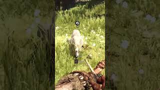 cave lion tamed gaming subscribe shortvideo shorts wildlife lion jungle tribal animals [upl. by Uahsoj]