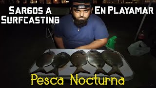 Pesca Surfcasting en Playamar  Captura de Sargos Nocturnos [upl. by Ambros]