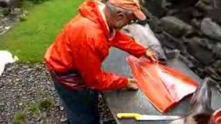 Filleting 2 king salmon [upl. by Larcher]