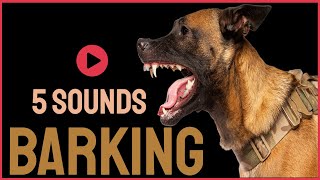 5 Dog Barking Sounds To Make Your Dogs Bark [upl. by Socher751]