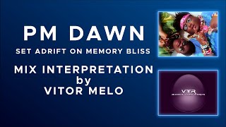 PM DAWN  SET ADRIFT ON MEMORY BLISS MIX INTERPRETATION [upl. by Assedo]