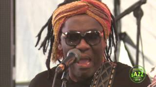 RICHARD BONA  SAFARICOM INTERNATIONAL JAZZ FESTIVAL 2014 [upl. by Sokem578]