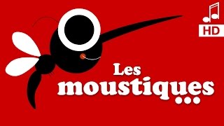 3 MOUSTIQUES QUI PIQUENT comptine pour bébé et maternelle [upl. by Aisanat]