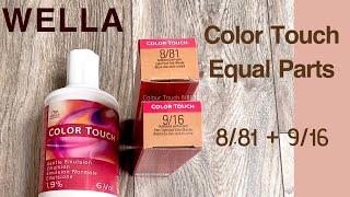 HOW TO USE WELLA COLOR TOUCH  SHADES 881  916 Blending GreyBlonde Hair SEMI PERMANENT COLOUR [upl. by Ester]