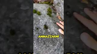 💪La FATICA viene sempre RIPAGATA🤔tenkara browntrout sakasa kebari arrampicata [upl. by Draned]