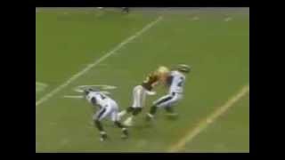 Hines Ward Levels Ed Reed [upl. by Ennirok790]