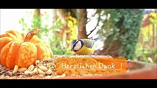 Herzlichen Dank [upl. by Singband]