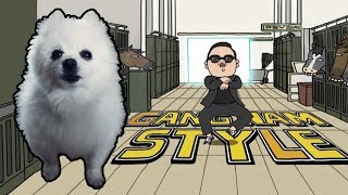 PSY  GANGNAM STYLE em CACHORRÊS  NOSTALGIA [upl. by Aynav]