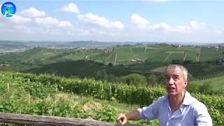 Aldo Vacca of Produttori del Barbaresco Cru Vineyards Walk Through Part 1 [upl. by Naut]