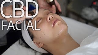 FACIAL TREATMENT  WHISPER TALK THROUGH WITH RELAXING MUSIC [upl. by Ahsinyd]