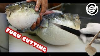 Fugu Sashimi Ikan Buntal  Street Food in Japan Okinawa [upl. by Ing]