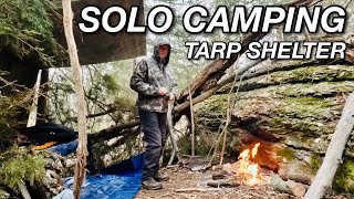 Solo Camping  Tarp Shelter  Squirrel Catch Clean Cook [upl. by Luiza]