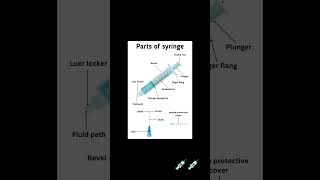 Part Of Syringe💉💉injection syringe ytshorts shortvideo [upl. by Nedap]