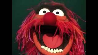 Metal Muppet Intro [upl. by Ruddie]