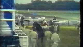 1975  Ruffian vs Foolish Pleasure  The Great Match Race CBS Sports  Part IV [upl. by Naujal905]