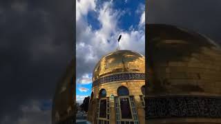 Shahsawar e Karbala ki Shahsawari ko Salaam  imamhussain shortvideo viralvideo sufi short [upl. by Olds981]