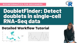 DoubletFinder Detect doublets in singlecell RNASeq data in R  Detailed workflow tutorial [upl. by Fawna]