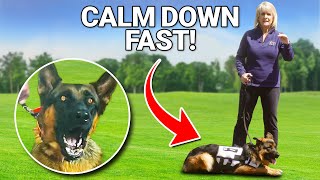 My SECRET Method to Calm Aggressive Dogs FAST [upl. by Alyahsat402]