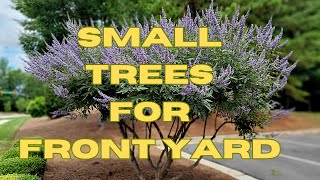 10 BEST All Season Small Trees For Front Yard  Low Maintenance Dwarf Trees for Landscaping [upl. by Hebe]