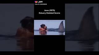 Jaws 1975 edit shorts edit jaws jawsmovie [upl. by Clevey831]