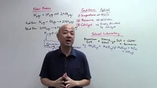 O Level Pure Chemistry  IP Chemistry Ammonia and The Haber Process [upl. by Surbeck]