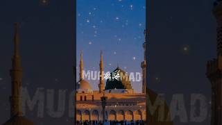 Muhammad nabina 🤲🤲🤲🤲💚💚💚💚💞💞🌹🌹shortsviral foryou shortfeed ytshorts [upl. by Whelan629]