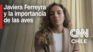 Javiera Ferreyra ¿Cómo impulsar el aviturismo  Entrevistas CNN [upl. by Inah]