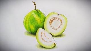 Guava drawing and pencil colouring tutorial  peyara drawing  পেয়ারা আঁকে কিভাবে [upl. by Malamud]