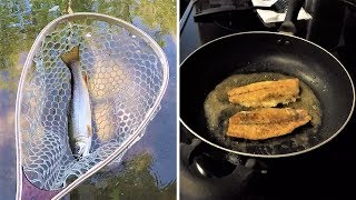 Brook Trout CATCH and COOK [upl. by Prestige]