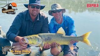 Largemouth YellowfishOrange River Slypsteen Safaris [upl. by Ynotna657]