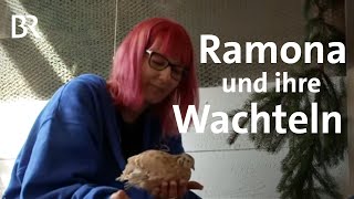 Wachtelparadies Ebnath Ramonas glückliche Wachteln  Zwischen Spessart und Karwendel  BR [upl. by Eisenhart516]