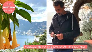 THE END OF AN ERA amp A NEW BEGINNING  The Positano Diaries EP 152 [upl. by Suciram]