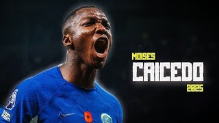 MOISES CAICEDO THE BEST DM IN PREMIER LEAGUE  2024 [upl. by Beard]