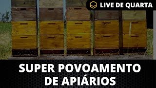 SUPER POVOAMENTO DE APIÁRIO LIVE DE QUARTA [upl. by Ujawernalo]